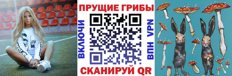 Купить закладки  Юрьевец  Галлюциногенные грибы ЛСД 